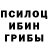 Галлюциногенные грибы ЛСД Eli Dinkhauser