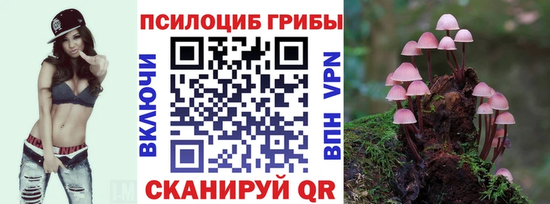 Псилоцибиновые грибы Cubensis  Чёрмоз 
