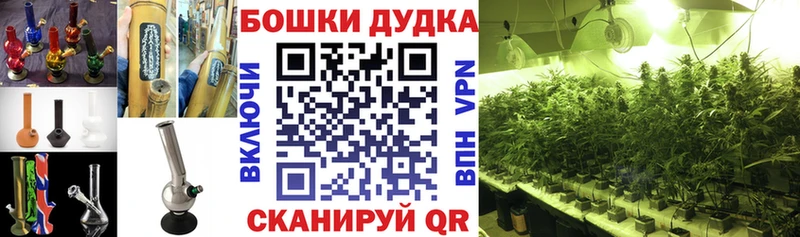 Бошки Шишки SATIVA & INDICA  Чёрмоз 